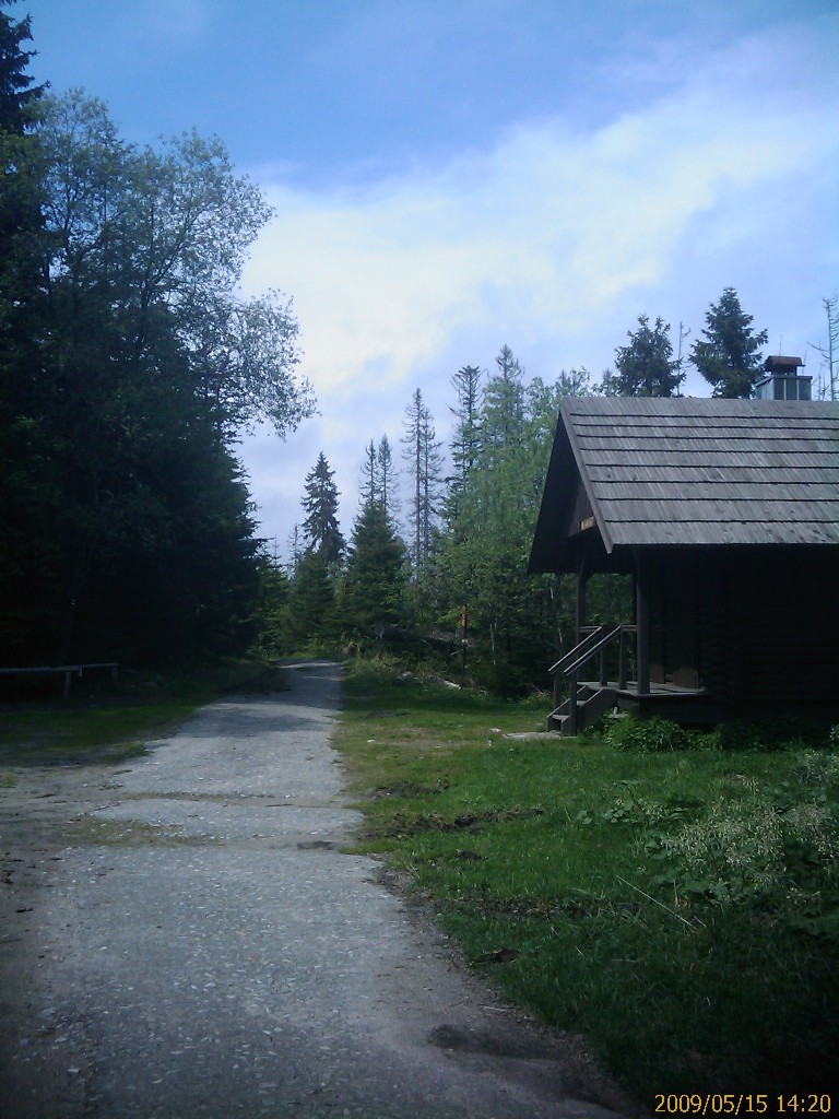 IMAGE_110.jpg